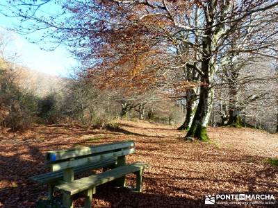 Parques Naturales Urbasa-Andía y Aralar - Nacedero del Urederra; senderismo vacaciones